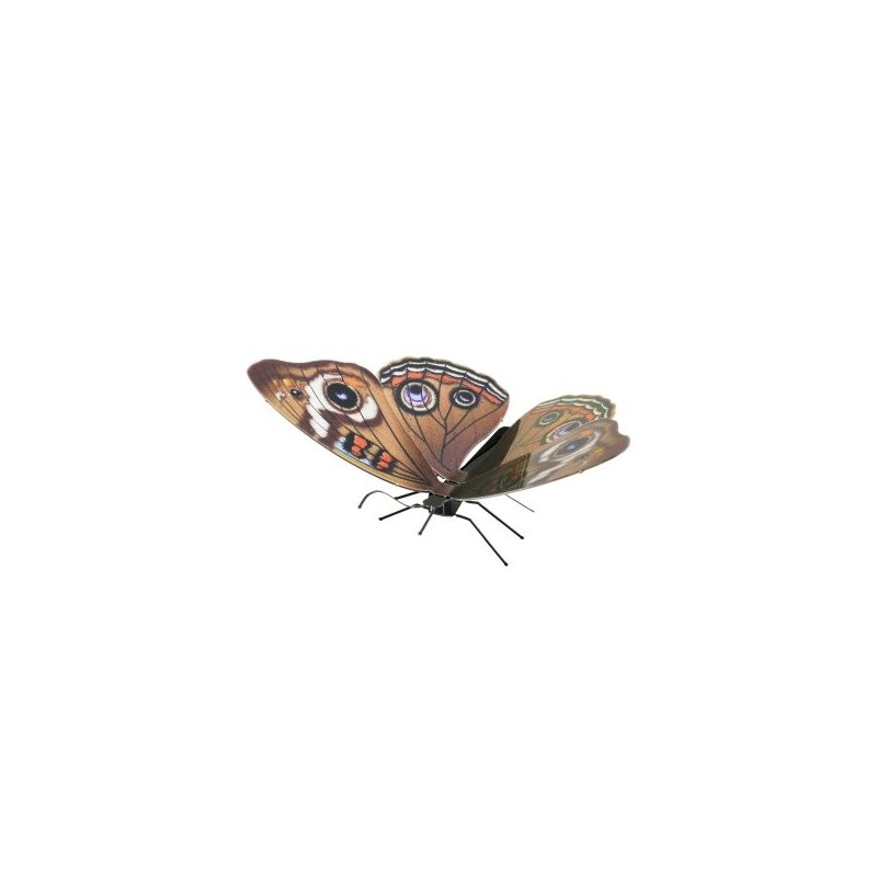 MAQUETA 3D METAL FASCINATIONS MARIPOSA BUCKEYE MONTAJE SIN PEGAMENTO NI SOLDADURA