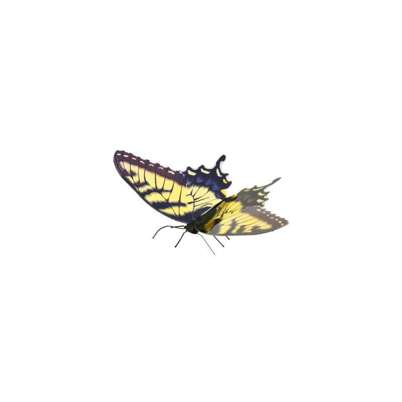 MAQUETA 3D METAL FASCINATIONS MARIPOSA TIGER SWALLOWTAIL MONTAJE SIN PEGAMENTO NI SOLDADURA