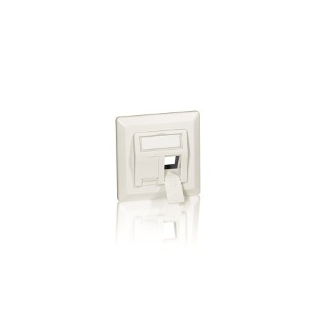 MARCO ROSETA 50 X 50 PARA 2 CONECTORES KEYSTONE 45º COLOR BLANCO