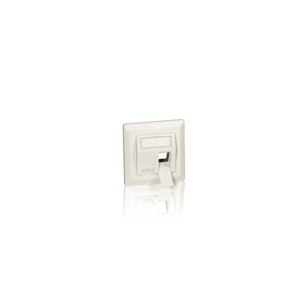 MARCO ROSETA 50 X 50 PARA 2 CONECTORES KEYSTONE 45º COLOR BLANCO