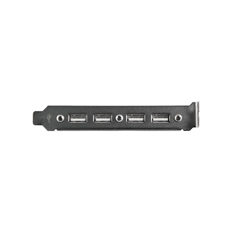 Cabezal bracket startech 4x usb 2.0