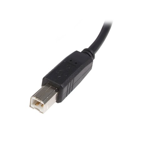 Cable usb tipo a a usb tipo b startech 1m - macho - macho - negro