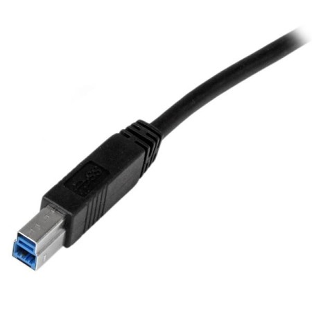Cable usb tipo b a usb tipo a startech 2m - macho - macho - negro