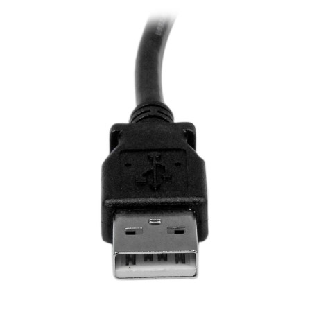 Cable usb tipo a ausb tipo b startech 2m - macho - macho - negro