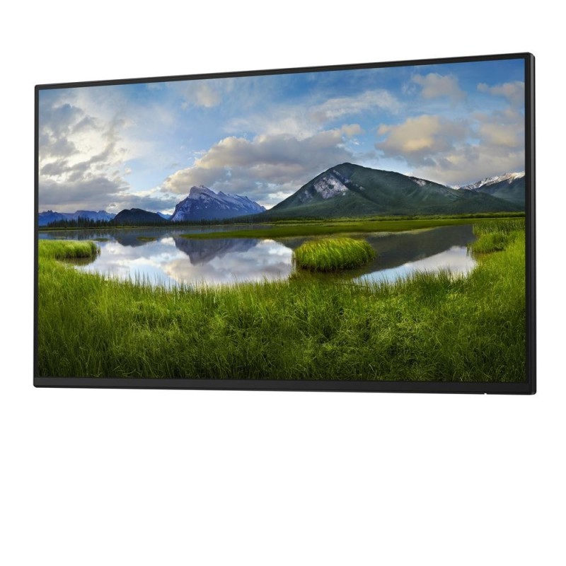 Monitor dell p2425h 24 pulgadas fhd 100hz