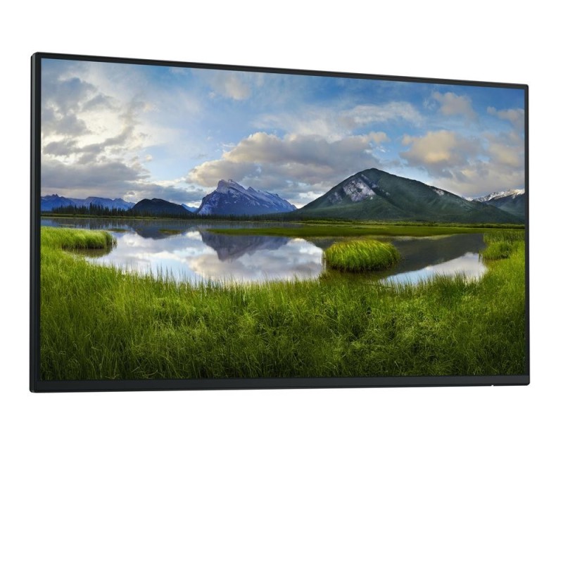 Monitor dell p2425h 24 pulgadas fhd 100hz