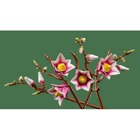 Lego botanicals ramas de magnolia
