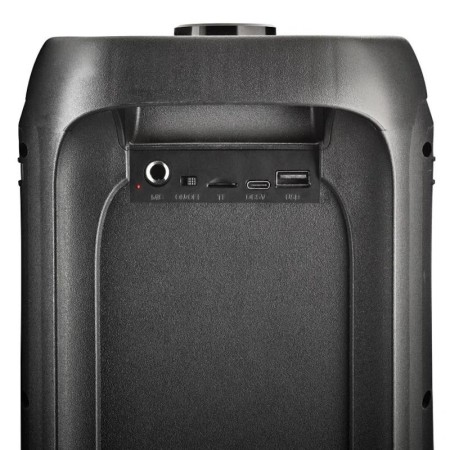 Altavoz Portable con Bluetooth NGS Wild Banger 2/ 160W