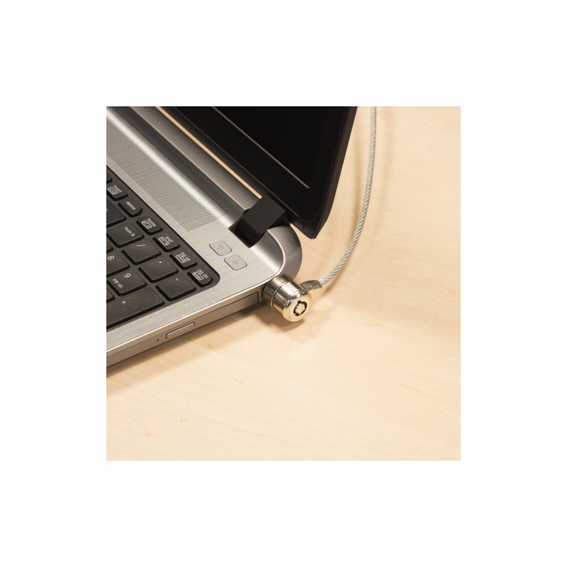 Ewent EW1242 cable antirrobo Negro, Acero inoxidable 1,5 m