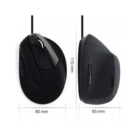 Ewent EW3157 ratón mano derecha USB tipo A Óptico 1800 DPI