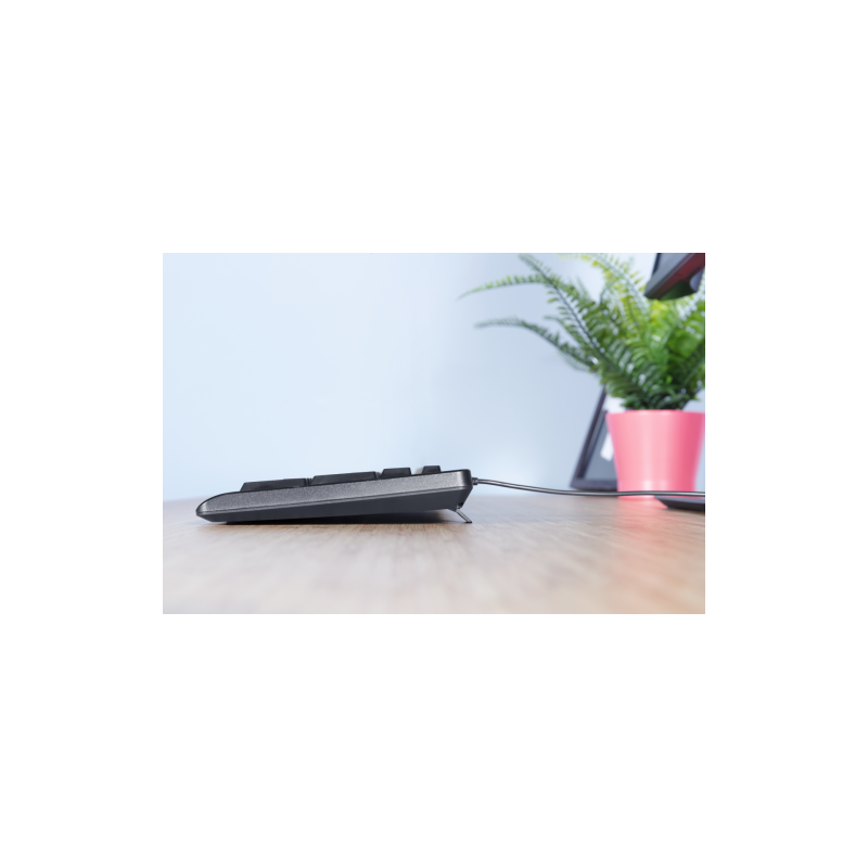 Trust TK-150 teclado USB QWERTY Español Negro