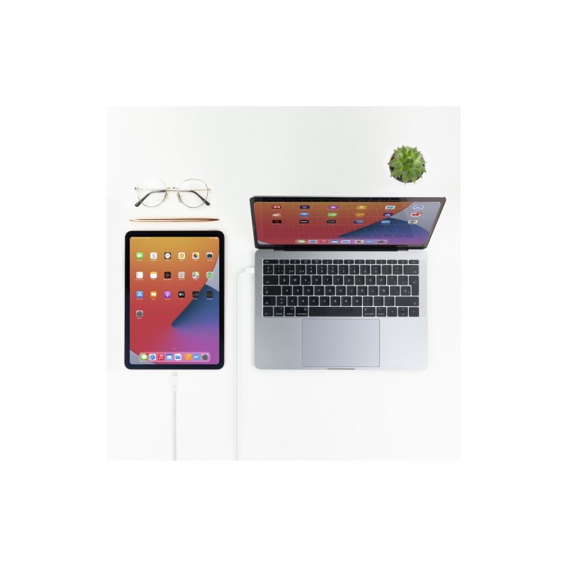 TooQ 10.10.0601 cable de conector Lightning 1 m Blanco