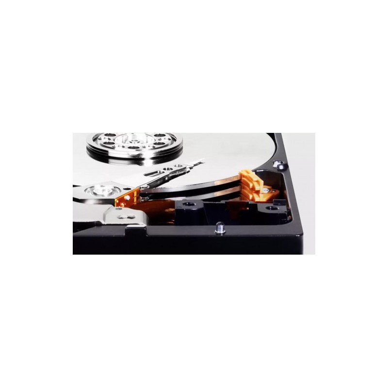 Western Digital Blue 3.5″ 2000 GB SATA