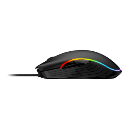 RATON MSI FORGE GM300