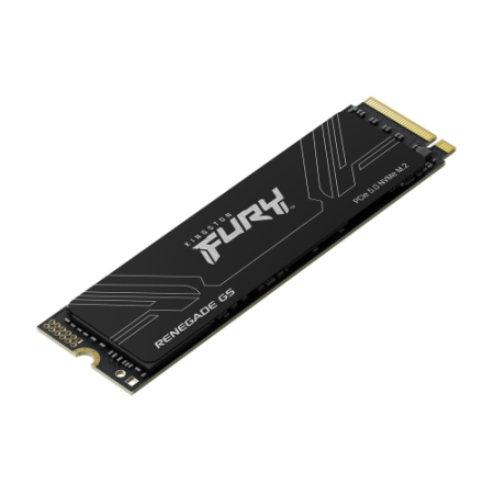 Kingston Technology 1T FURY RENEGADE G5 M.2 2280 NVMe SSD
