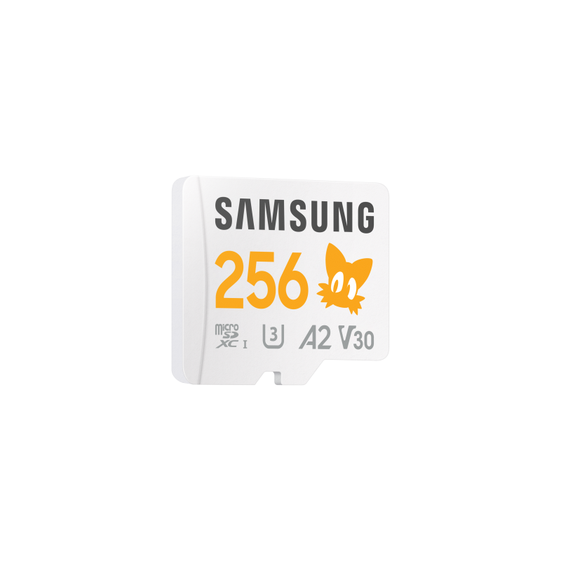 Samsung MB-MD256S 256 GB MicroSDXC UHS-I Clase 10
