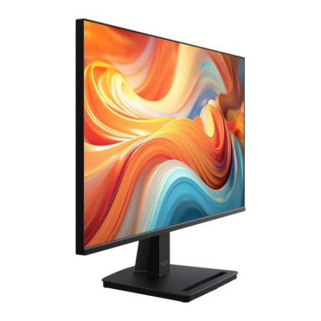 MSI Pro MP251 E14L pantalla para PC 62,2 cm (24.5″) 1920 x 1080 Pixeles Full HD Negro