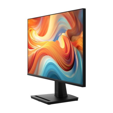 MSI Pro MP251 E14L pantalla para PC 62,2 cm (24.5″) 1920 x 1080 Pixeles Full HD Negro