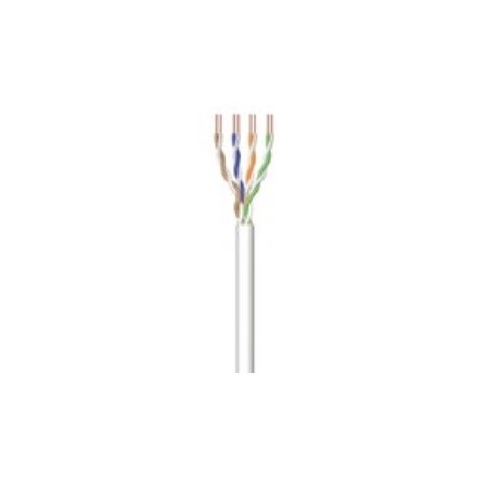 Ewent IM1216 cable de red Gris 305 m Cat6 U/UTP (UTP)