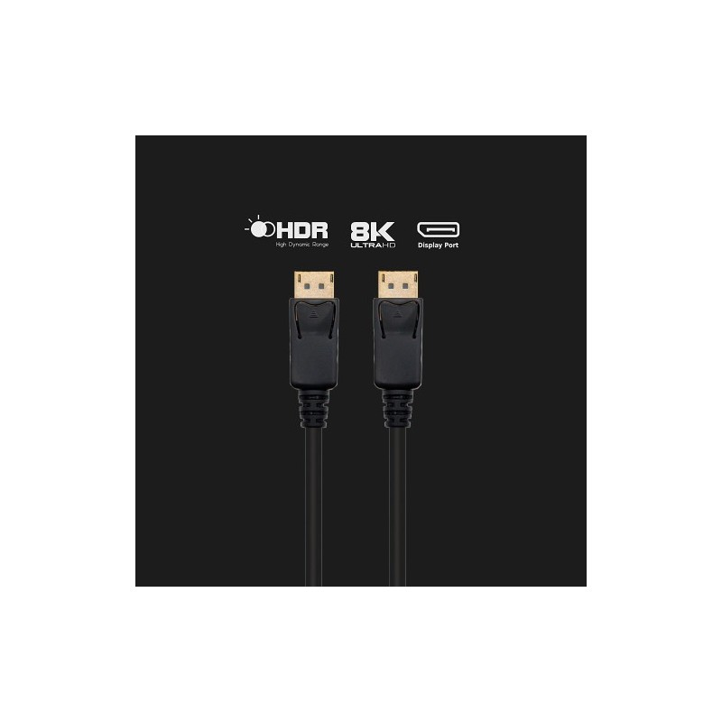 Ewent EC1406 cable DisplayPort 2 m Negro