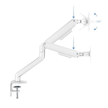TooQ DB4032TNR-W soporte para monitor 81,3 cm (32″) Abrazadera/Atornillado Blanco