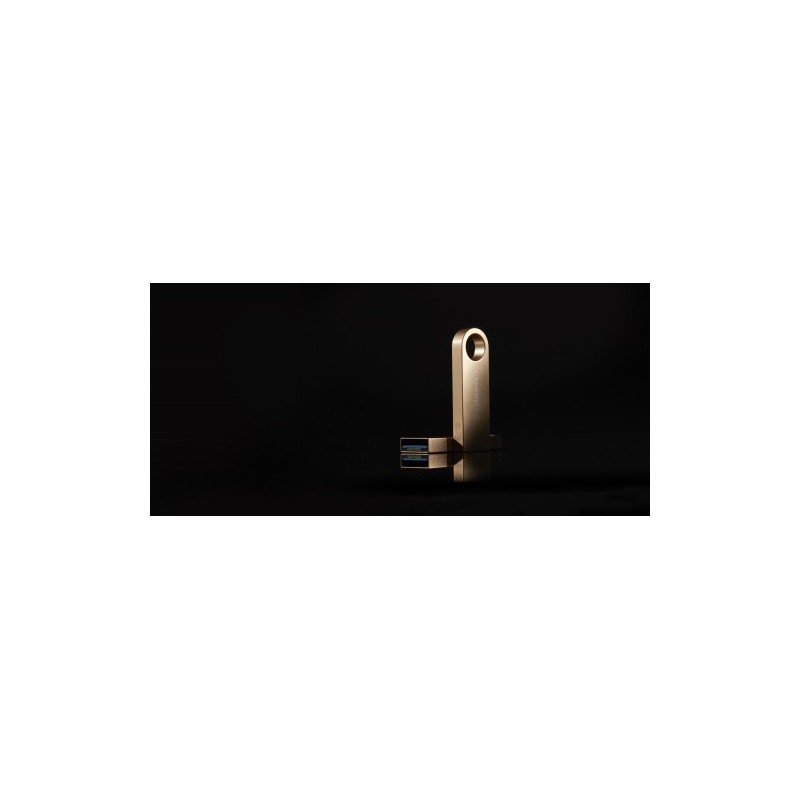 Kingston Technology DataTraveler SE9 G3 unidad flash USB 256 GB USB tipo A 3.2 Gen 1 (3.1 Gen 1) Oro