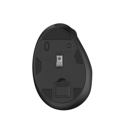 Ewent EW3208 ratón Universal mano derecha RF Wireless + Bluetooth Óptico 4000 DPI
