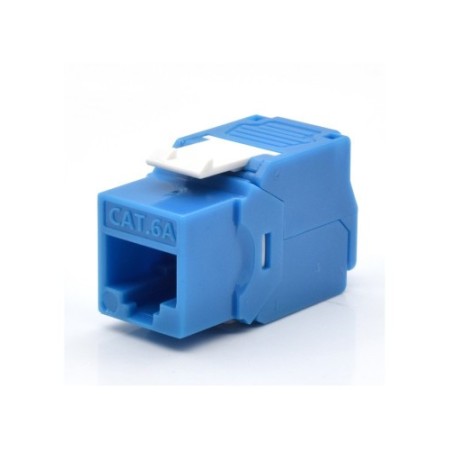 WP WPC-KEY-6AUP-TL/B módulo de conector de red