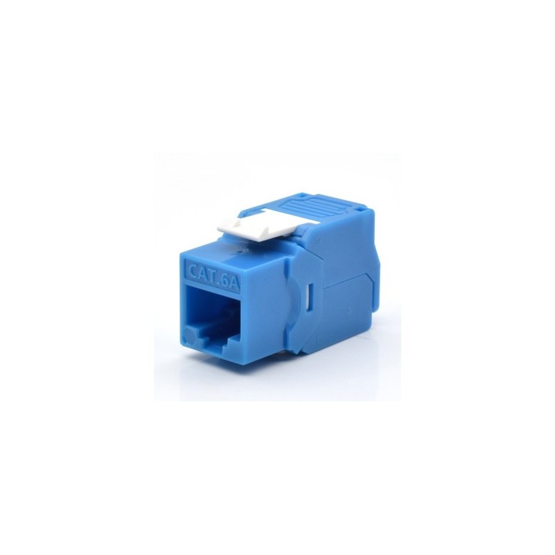 WP WPC-KEY-6AUP-TL/B módulo de conector de red