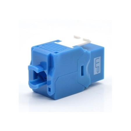WP WPC-KEY-6AUP-TL/B módulo de conector de red