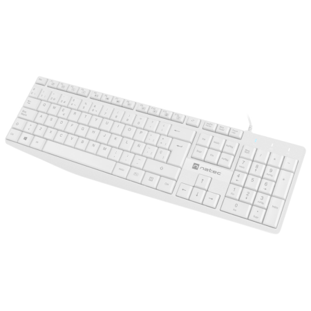 NATEC NKL-1949 teclado Universal USB QWERTY Español Blanco