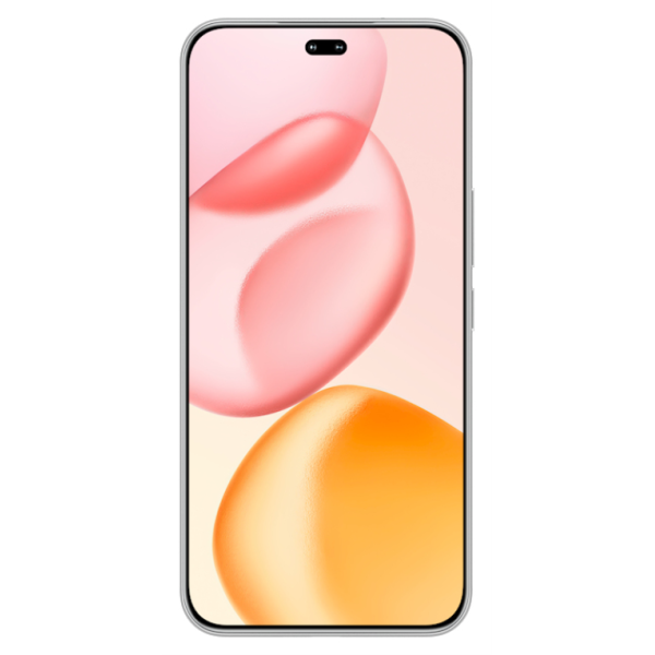 Honor 400 Pro 17 cm (6.7″) MagicOS 9.0 5G 12 GB 512 GB 5300 mAh Gris