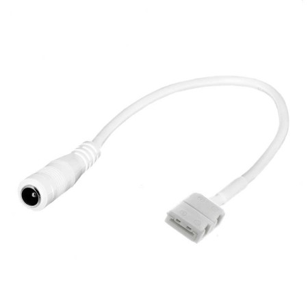 Cable conexión Jack Hembra con conector 2 Pin para tira led 8mm