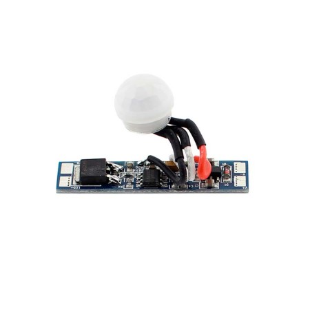 Sensor PIR de movimiento RAIL