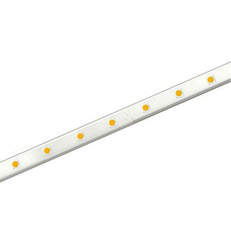 Tira LED TPU SMD5050, DC24V, 1m (60Led/m) - IP67