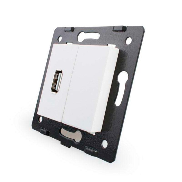 Mecanismo de empotrar enchufe USB, blanco LIVOLO