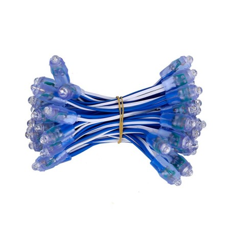 Pixel Led Azul, Ø12mm, 50 led, 0,3W/led, DC5V