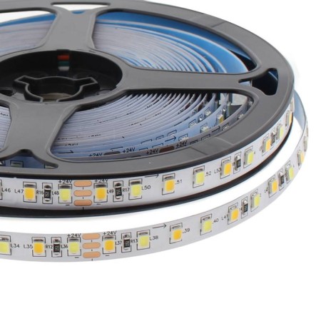 Tira LED Blanco Dual SMD2835, DC24V, 5m (120 Led/m), 80W, IP20