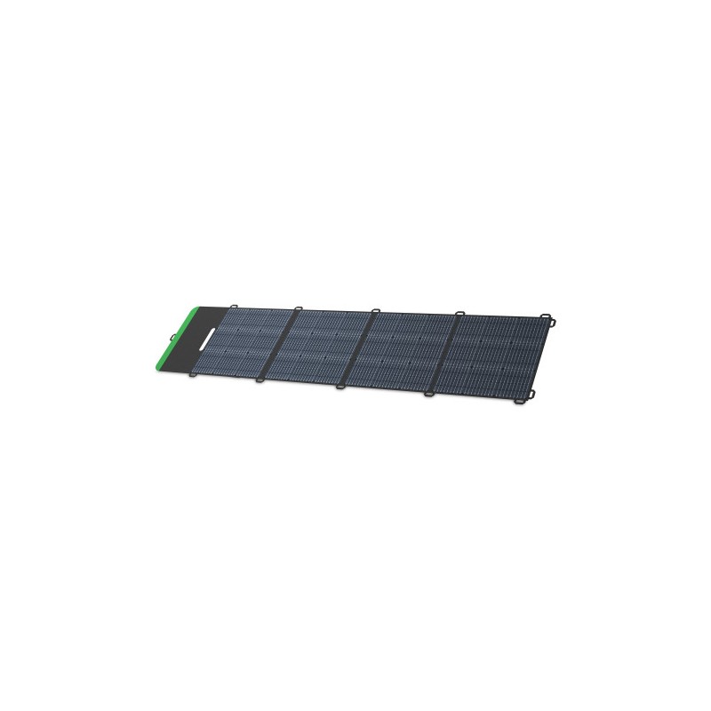 APC PSP200 placa solar 200 W Silicio monocristalino