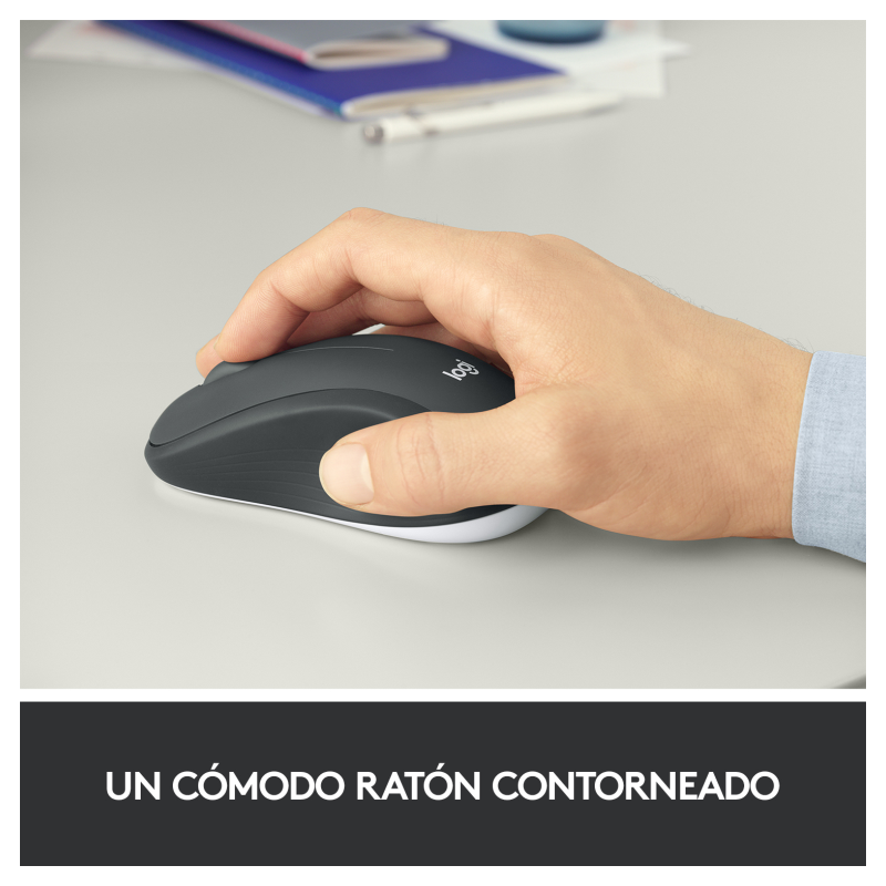 Teclado y Ratón Inalámbrico Logitech MK540 Advanced