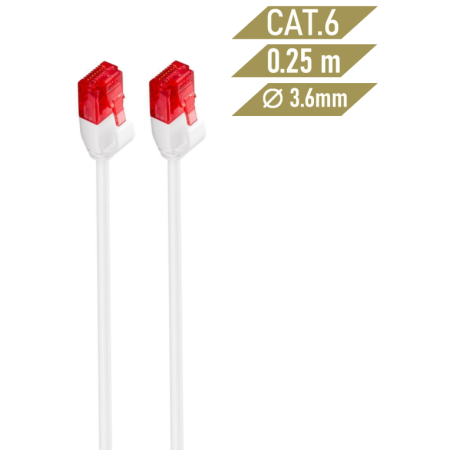 Ewent IM1035 cable de red Blanco 0,25 m Cat6 U/UTP (UTP)