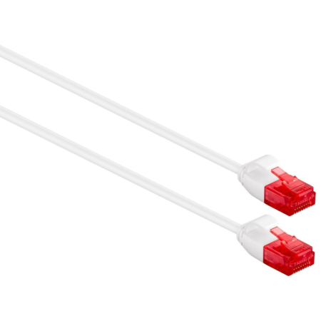 Ewent IM1035 cable de red Blanco 0,25 m Cat6 U/UTP (UTP)
