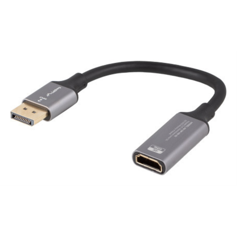 Lanberg AD-DP-HD-02 adaptador de cable de vídeo 0,2 m DisplayPort HDMI Plata