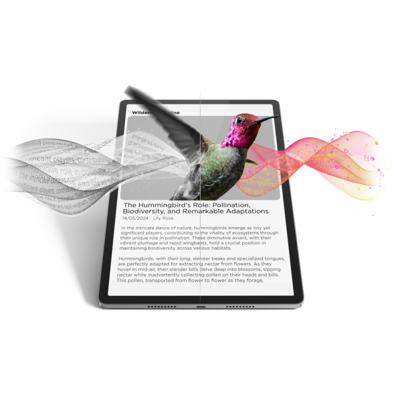 Lenovo Idea Tab Pro Mediatek 256 GB 32,3 cm (12.7″) 8 GB Wi-Fi 6E (802.11ax) Android 14 Gris