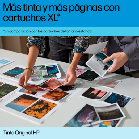 HP Cartucho de tinta negro fotográfico DesignJet 746 de 300 ml