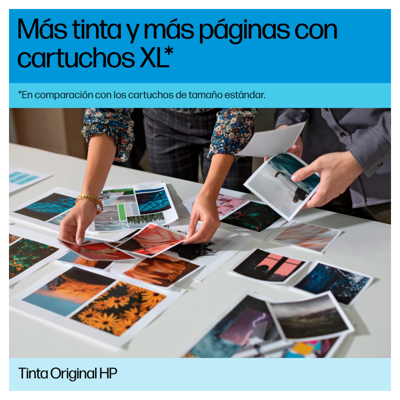 HP Cartucho de tinta negro fotográfico DesignJet 746 de 300 ml