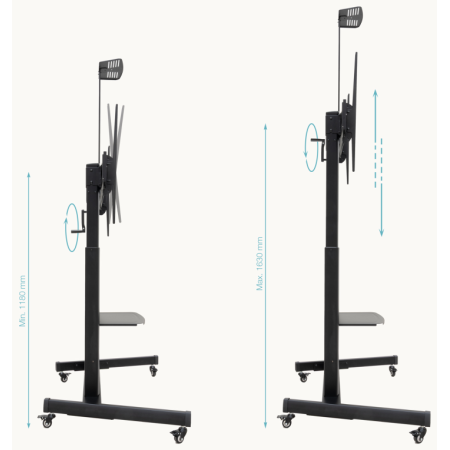 TooQ “AQUILES” Soporte de Suelo con Ruedas con Regulación de Altura para Pantallas 60″-100″, Negro