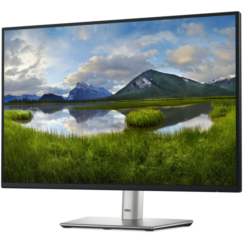 DELL Pro Plus P2425E pantalla para PC 61,1 cm (24.1″) 1920 x 1200 Pixeles WUXGA LCD Negro