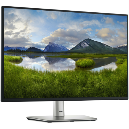 DELL Pro Plus P2425E pantalla para PC 61,1 cm (24.1″) 1920 x 1200 Pixeles WUXGA LCD Negro