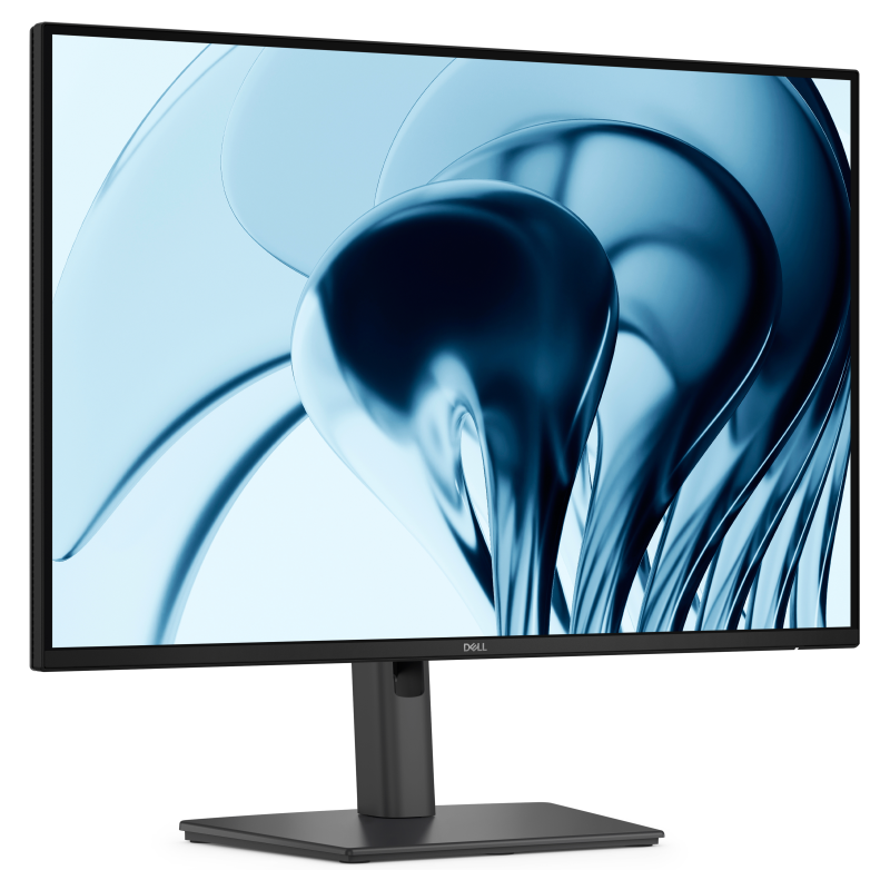 DELL Pro P P2426 pantalla para PC 61,2 cm (24.1″) 1920 x 1200 Pixeles WUXGA LCD Gris